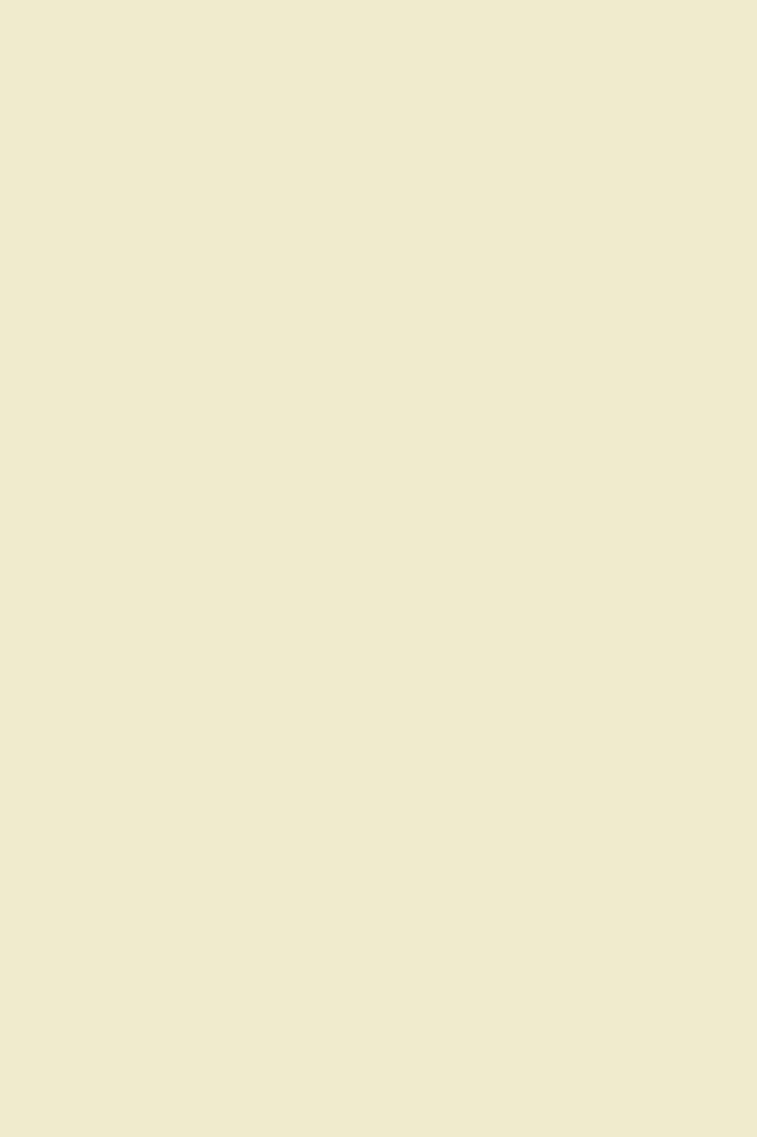 20 Sheets Printer Paper High Quality Ivory A4 21 x 29.7cm 100g Lessebo…