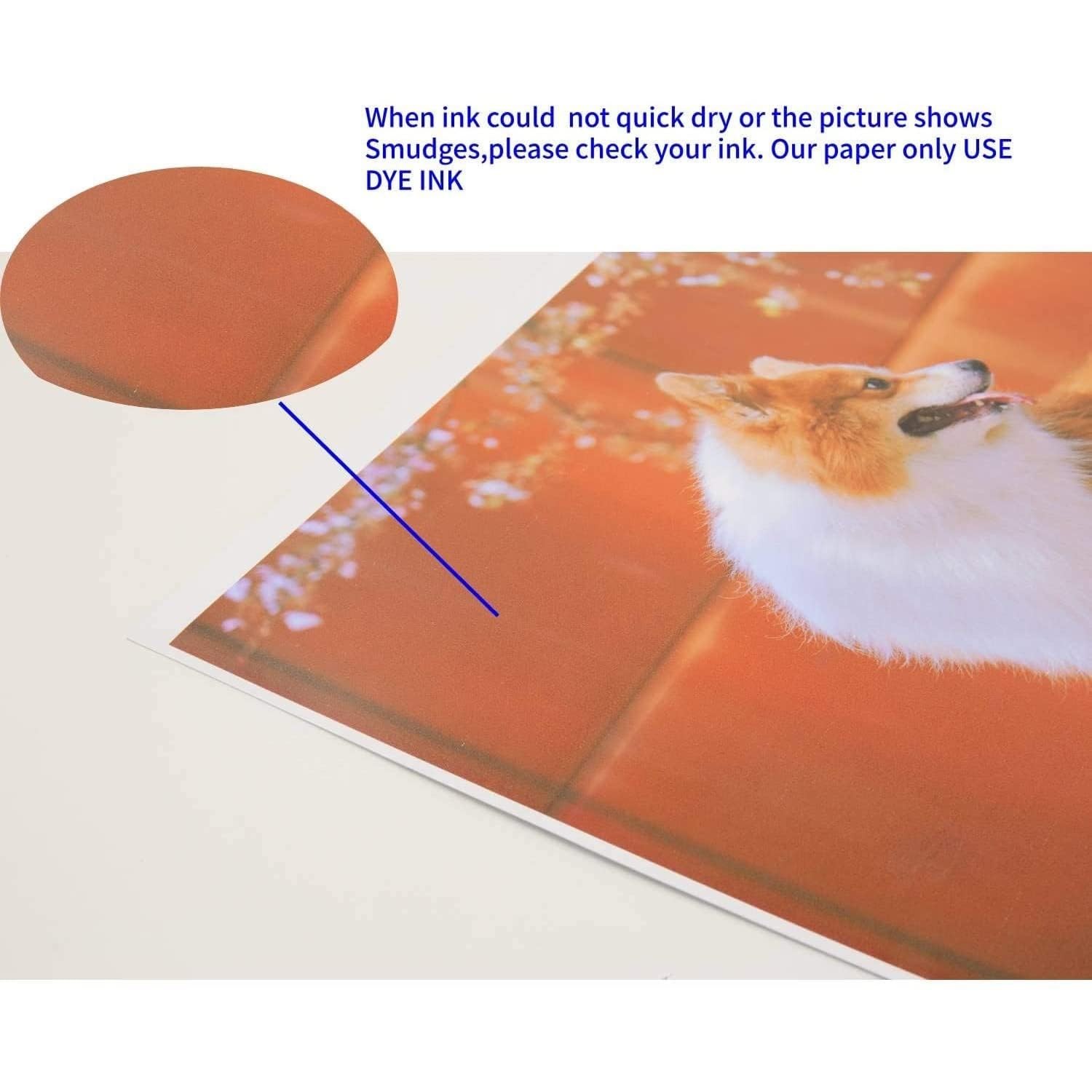 Koala Double Sided Thin Glossy Photo Paper 8.5×11 Inch 120gsm 100 Sheets