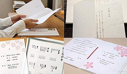 Oonao Copy Paper Washi Paper Daireishi White A3 50 Sheets 206070101from JP