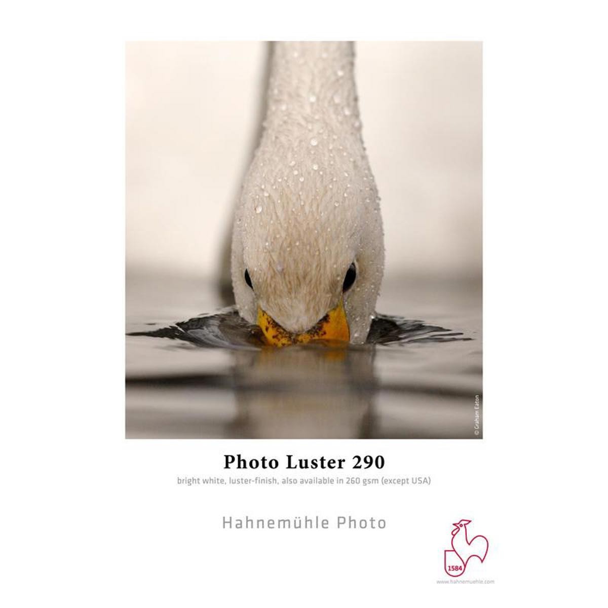 Hahnemuhle Photo Luster 290 Inkjet Paper, 11×17″, 25 Sheets