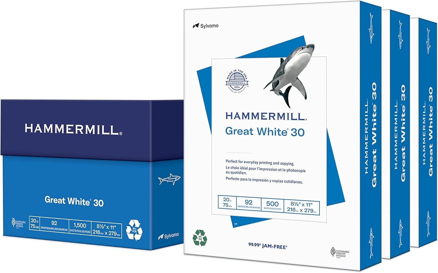 Great White 30% Recycled Printer Paper, 8.5 x 11, 1500 Sheets, 92 Brightness