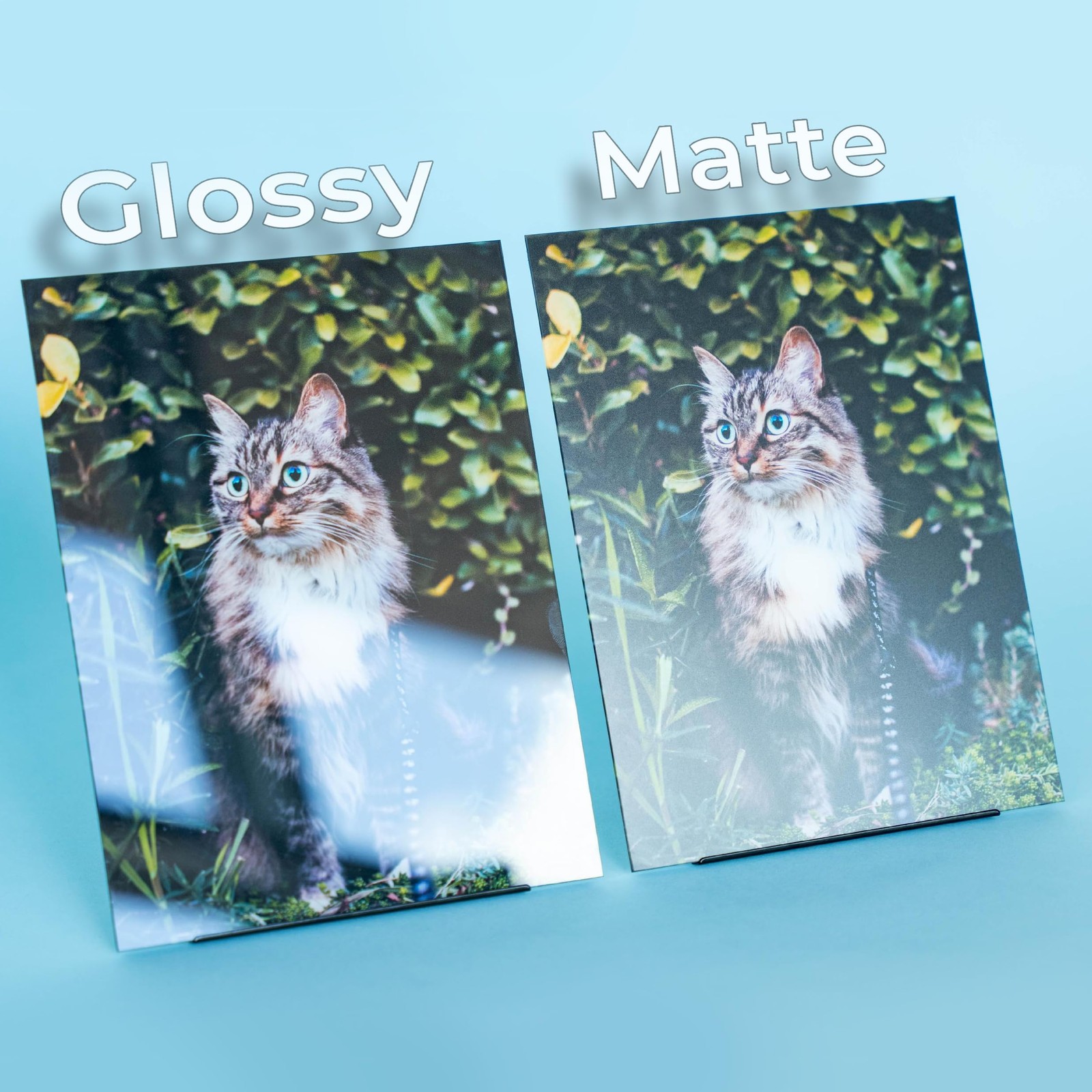 Evergreen Goods 50 Sheets A4 Matte White Double Sided Photo Paper 140gsm, Inkj…