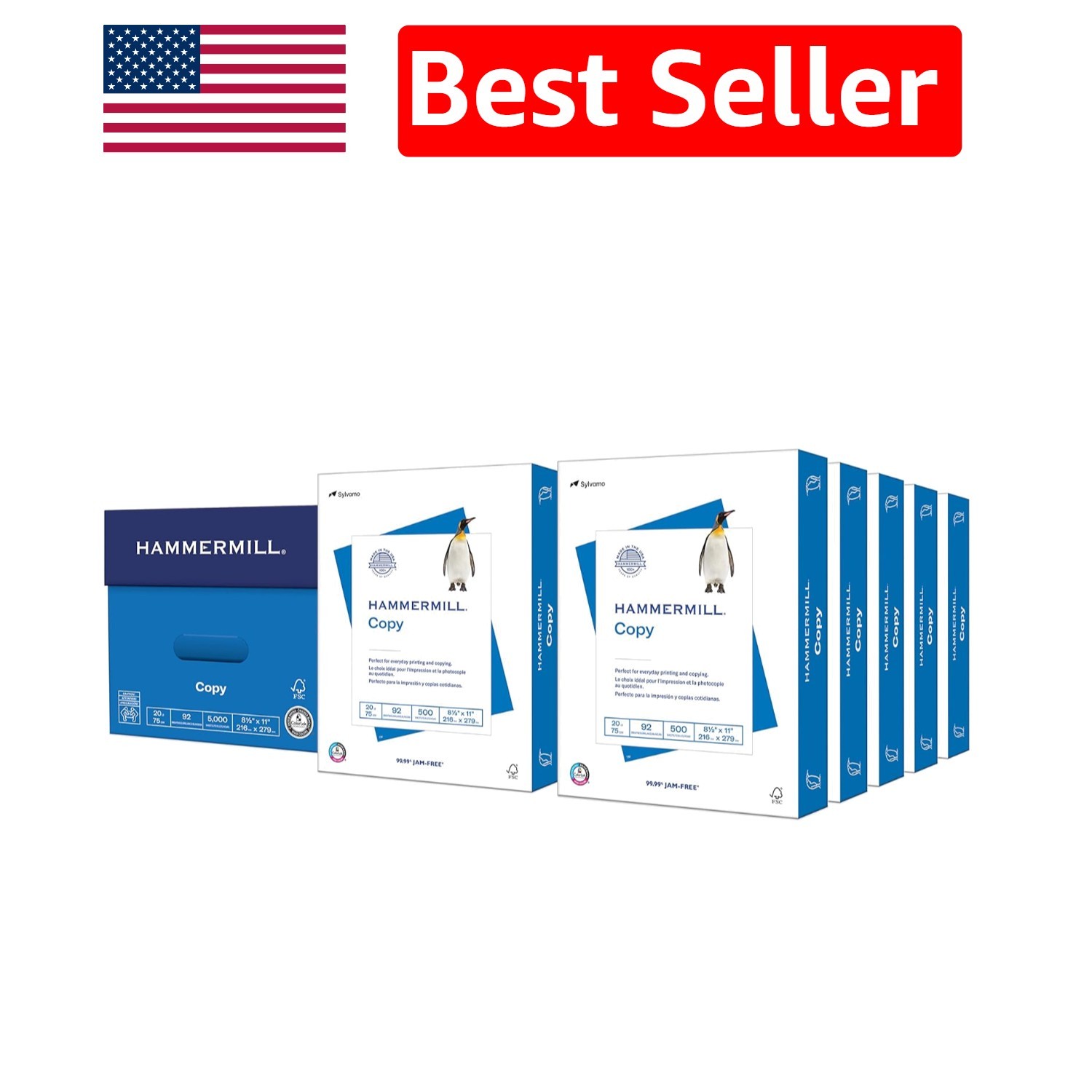Heavyweight 20 lb Printer Paper, 5000 Sheets, 8.5 x 11 – Ideal for All Printers