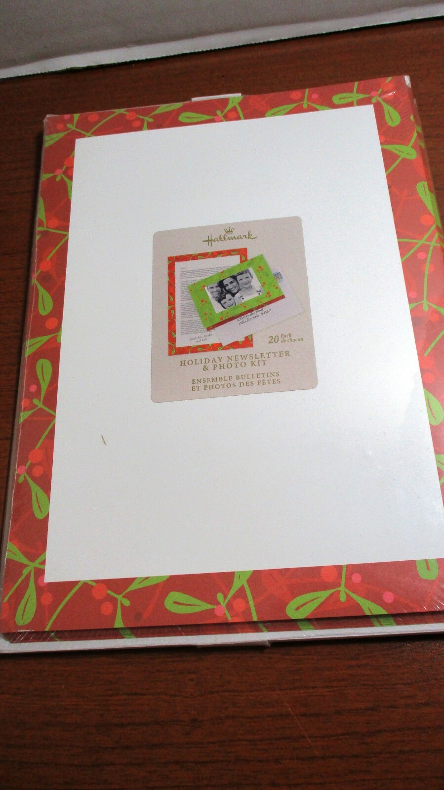 HALLMARK~HOLIDAY NEWLETTER & PHOTO KIT~20 Sheets & 20 Envelopes~NIP