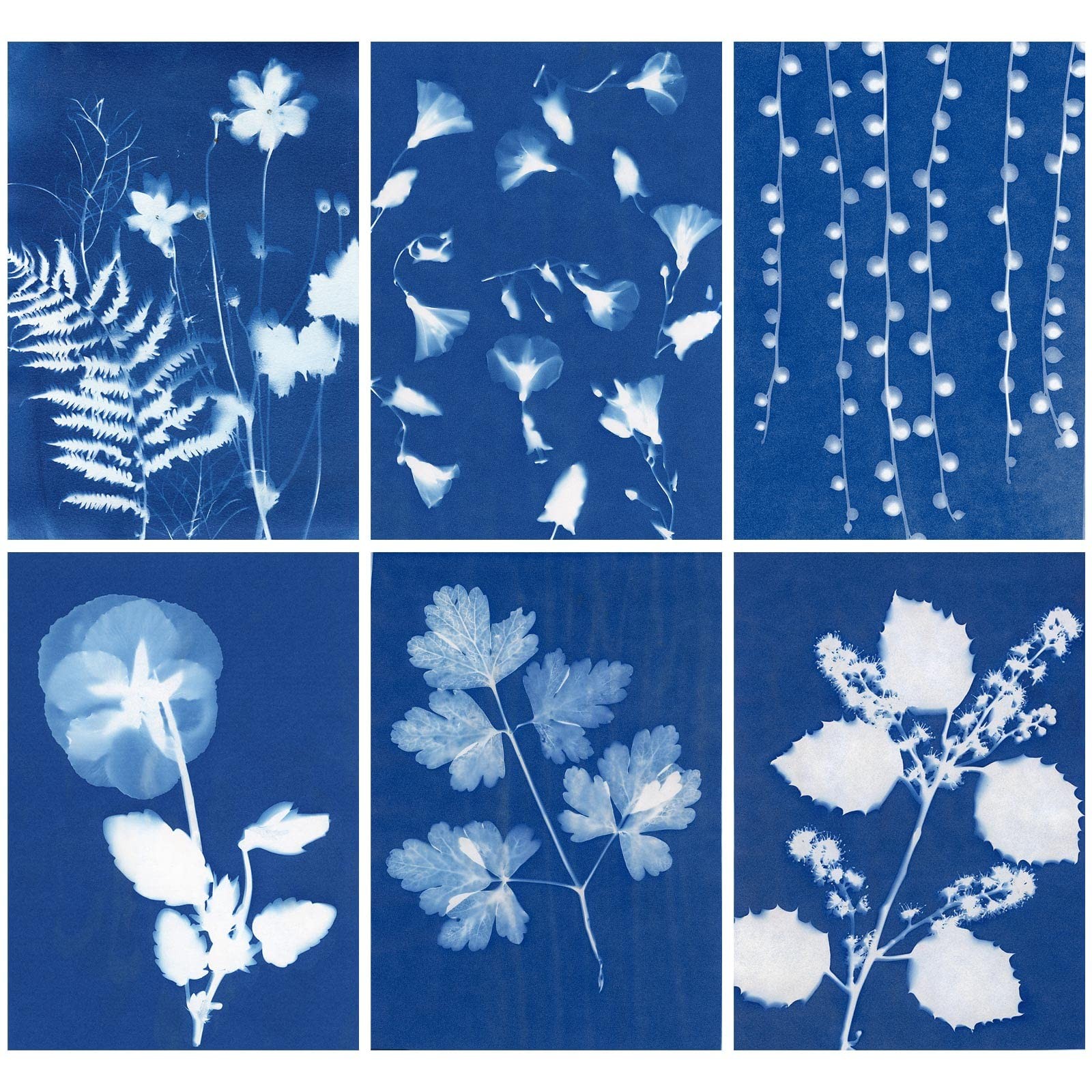 AIQINHU Sun Print Paper Cyanotype Paper Kit, 32 Sheets Sun Art Paper with 1 Plas