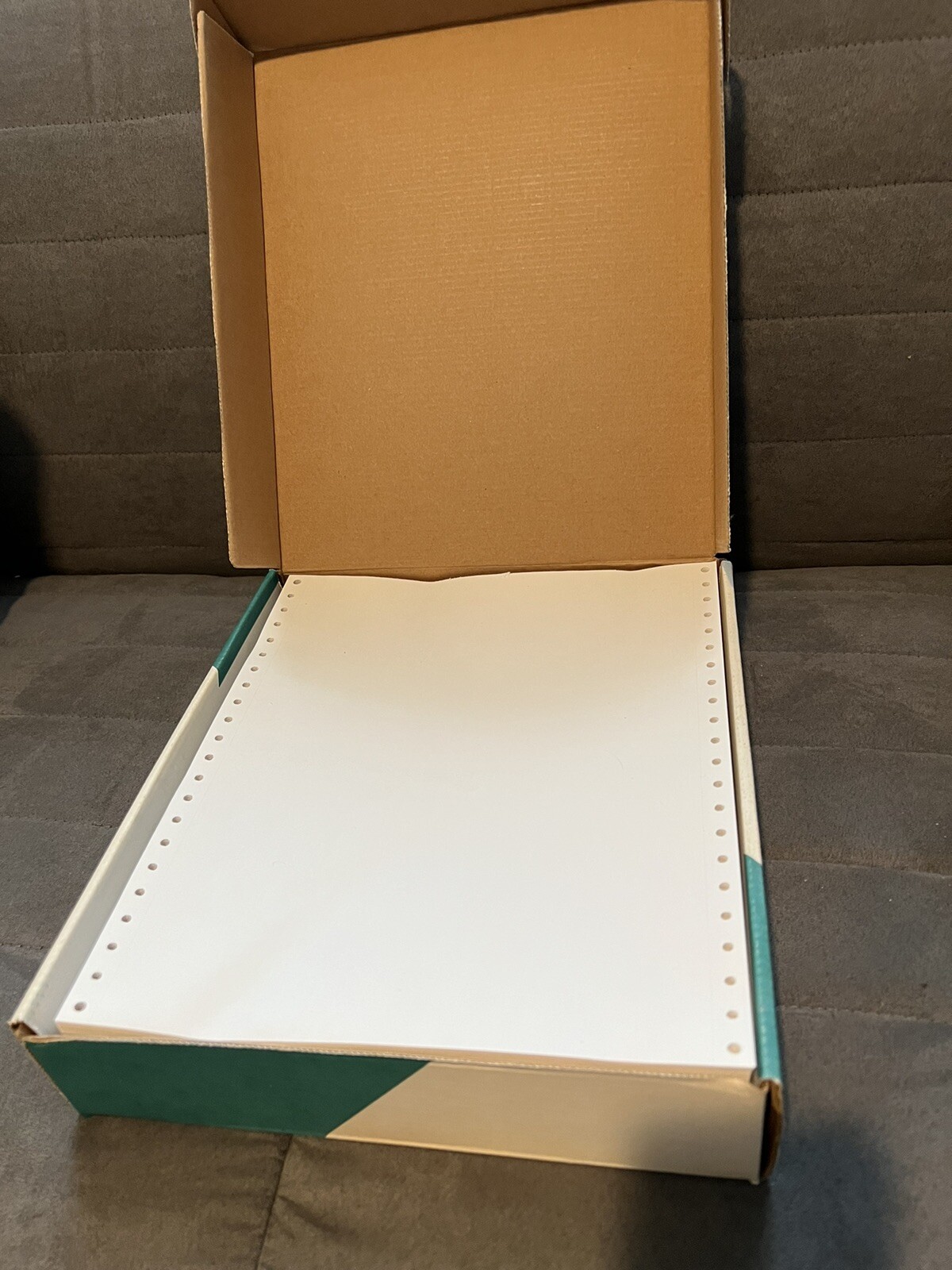 Vtg Shade Dot Matrix Computer Printer Paper Continuous Track Feed 100 Pg 9.5 x11