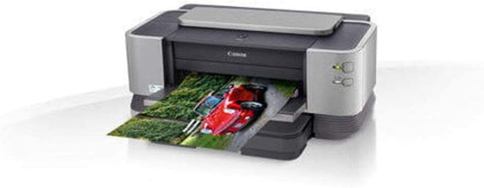 Canon Photo Paper Pro Platinum, 13 x 19 Inches, 10 Sheets (2768B018)