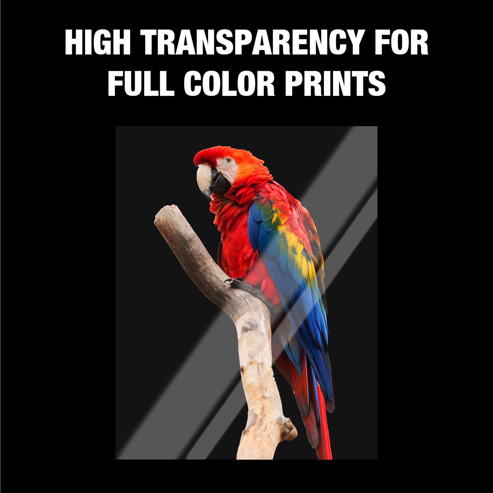 Samsill Transparency Film for Laser Printers, 100 Sheets, Not for Inkjet
