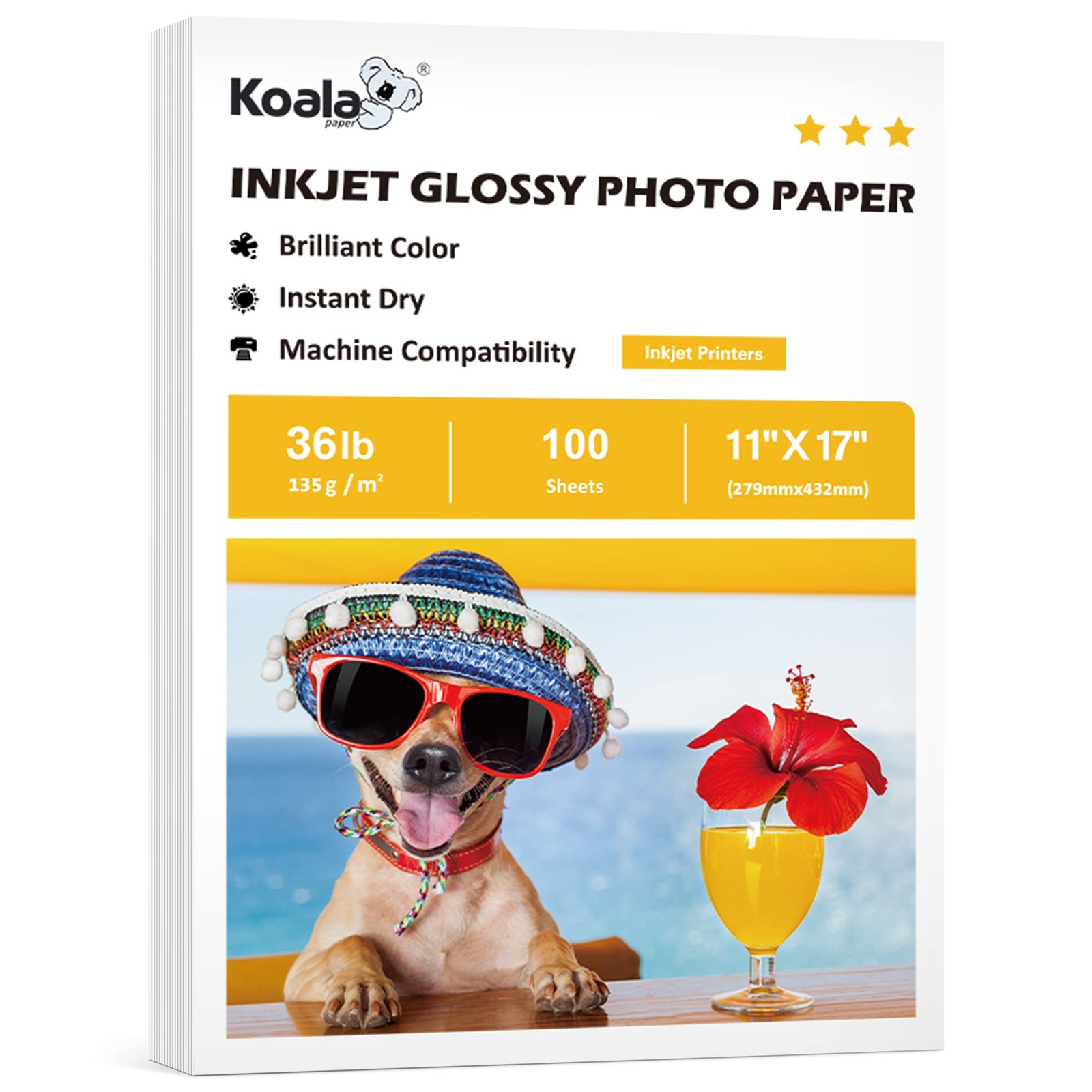 Koala Glossy Thin Inkjet Printer Paper 11×17 Inches for Printing Brochure Fly…