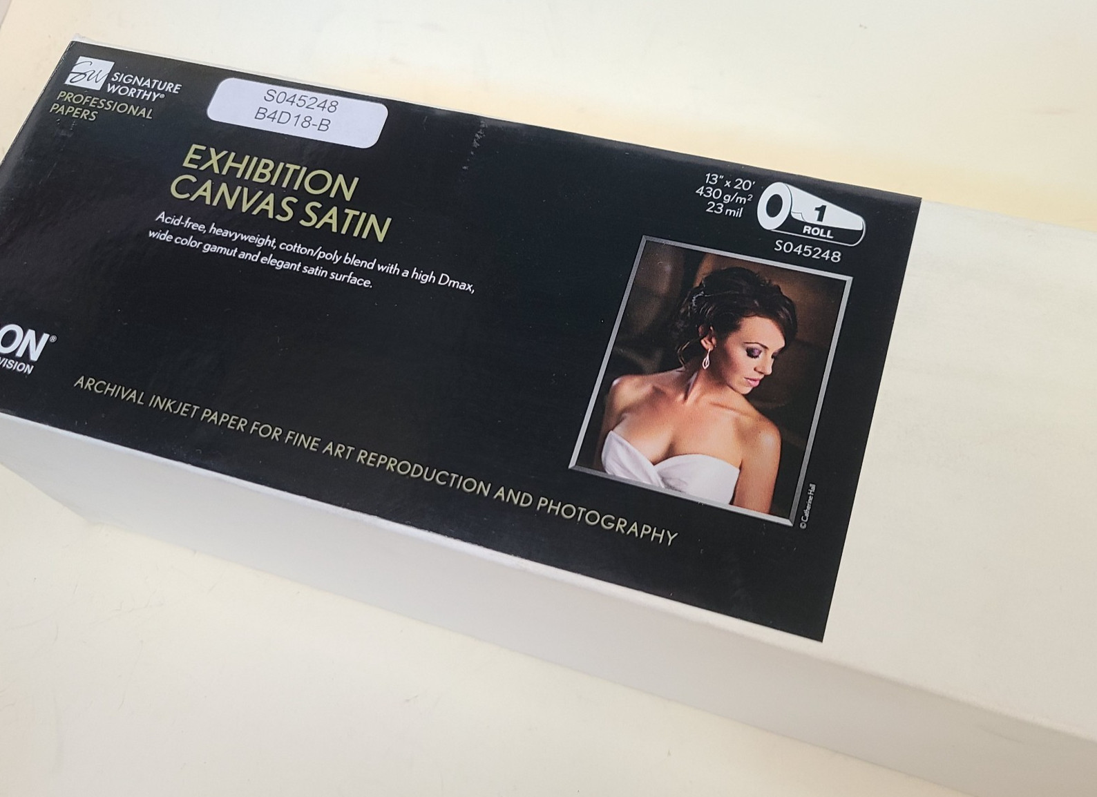 Epson Exhibition Canvas Satin Inkjet Paper Roll 13″ x 20′ Archival S045248