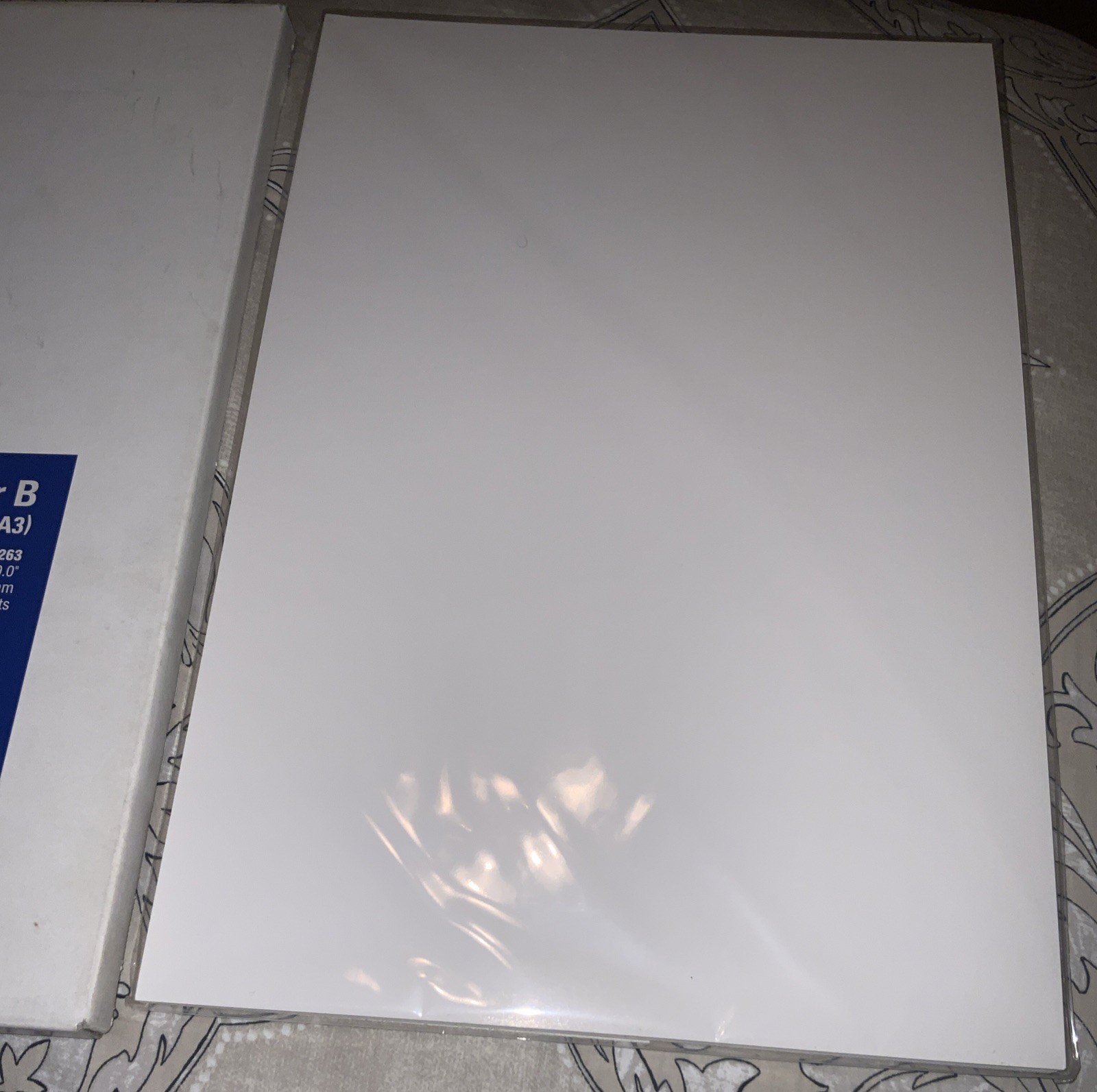 Epson Professional Media 13 x 19 Super B S041263 Professional MATTE 50 Sheets