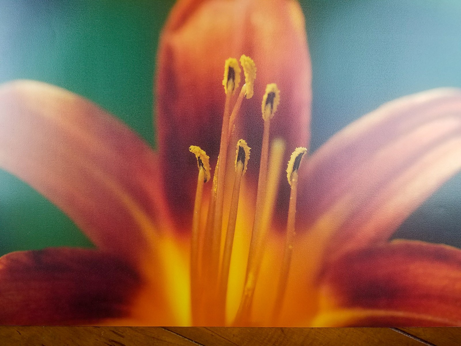 8 X 10 Faux Glossy Canvas Inkjet Photo Paper – 50 Sheets