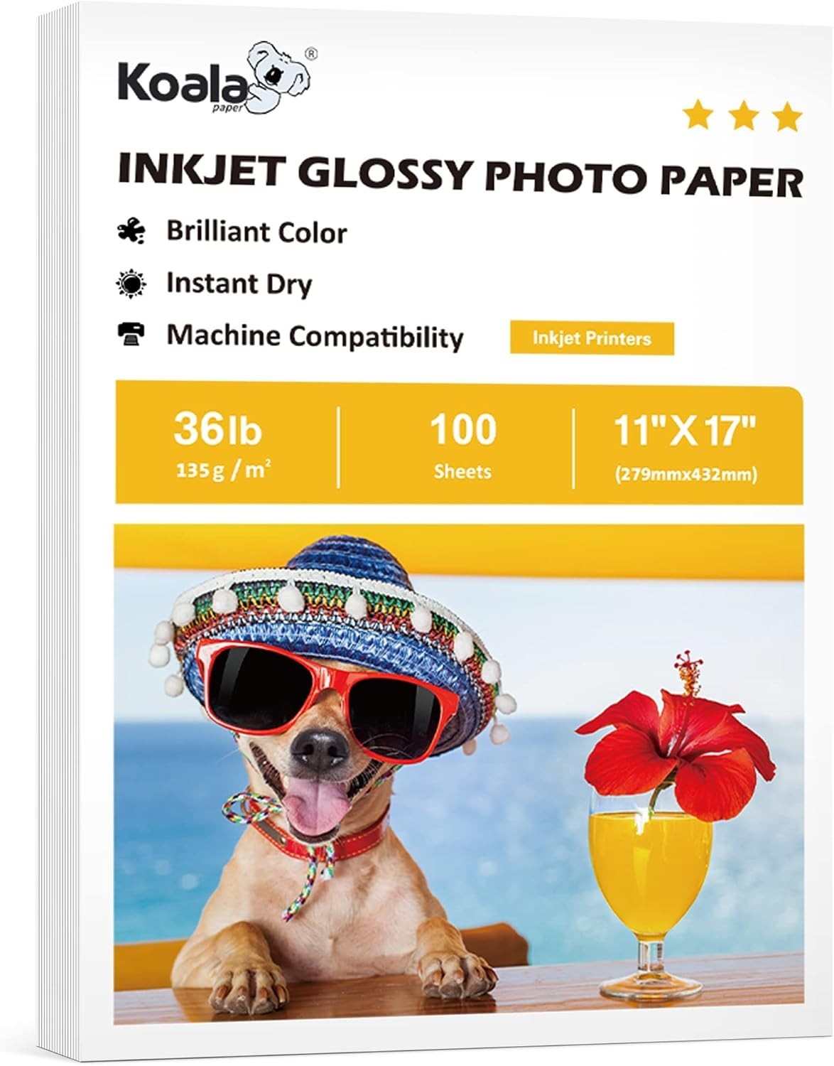 High Gloss 11×17 Inkjet Paper – 100 Sheets, Perfect for Brochures & Flyers