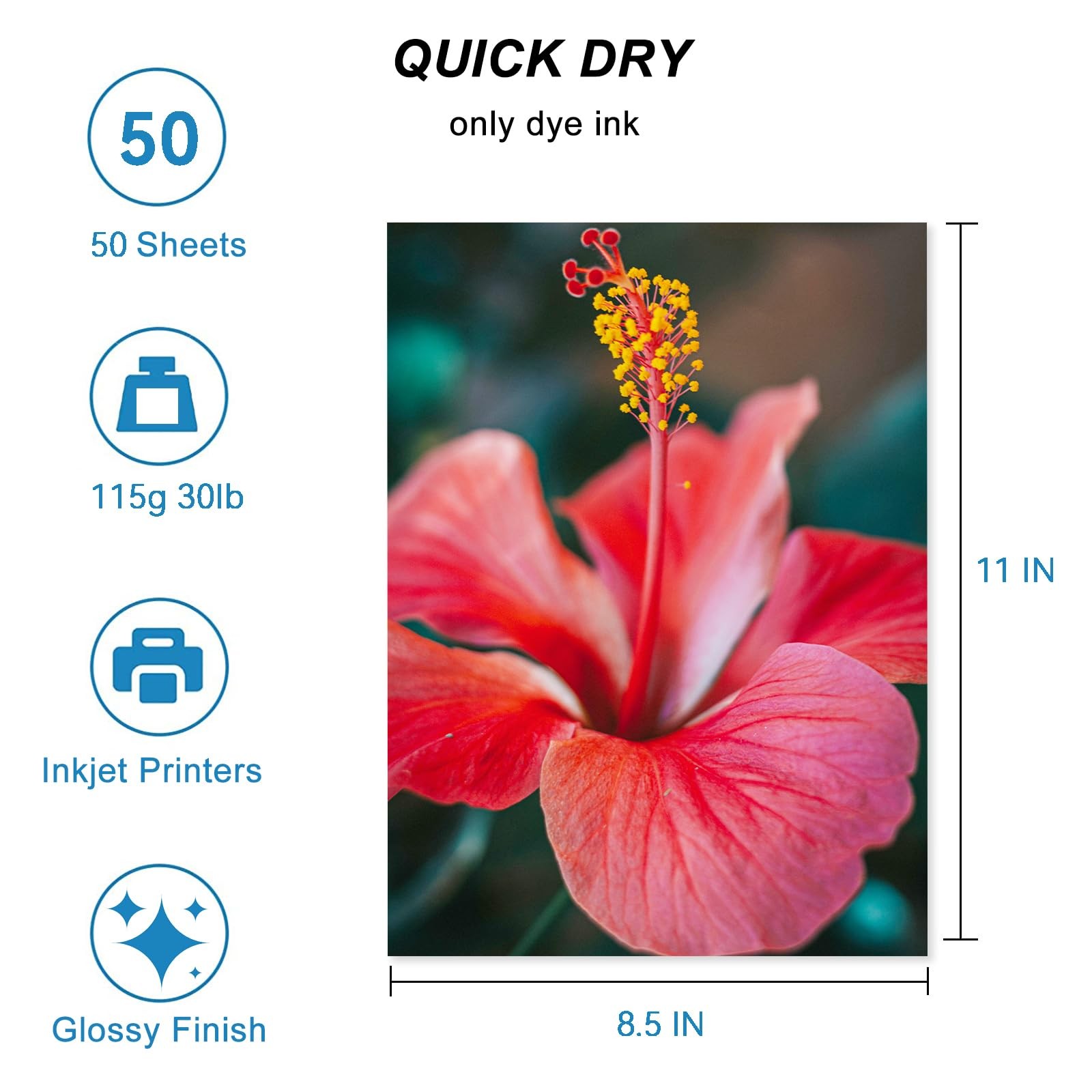 Glossy Thin Inkjet Printer Paper 8.5×11 Inches 50 Sheets for DIY Chip Bag and…