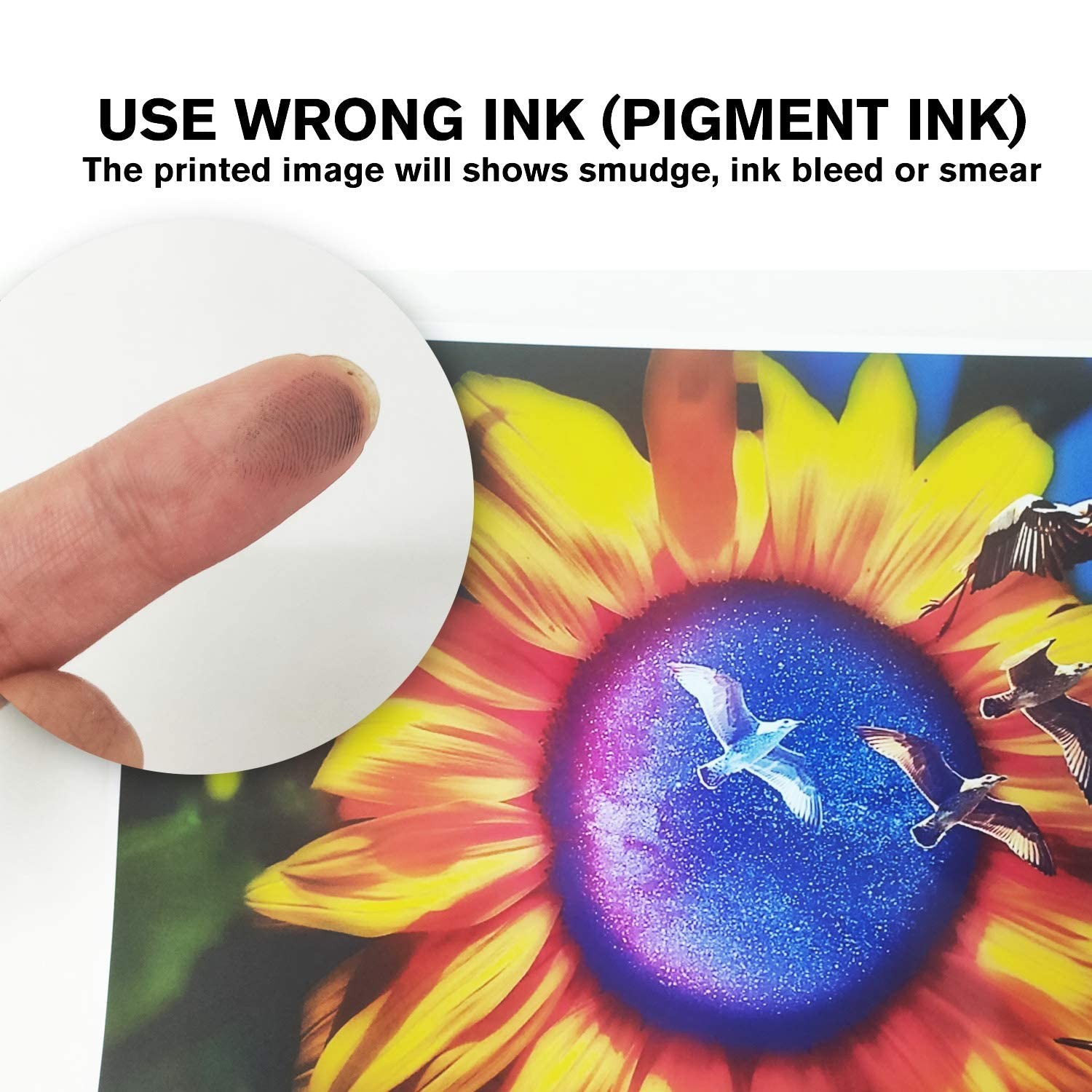 50 Sheets Koala Heavyweight Double Sided Glossy Photo Paper 11×17 260gsm