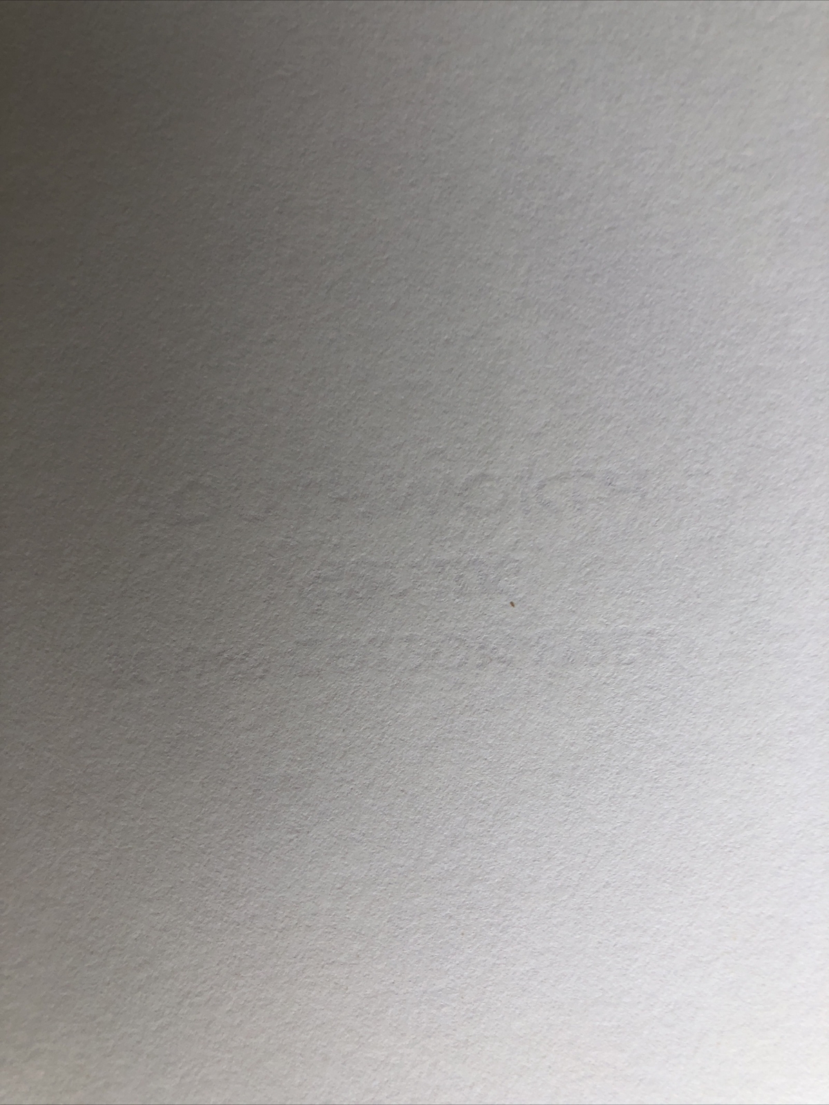 Southworth 100% Cotton Resume Printer Paper, 8.5″ x 11″, 100 Sheets Ivory 24#