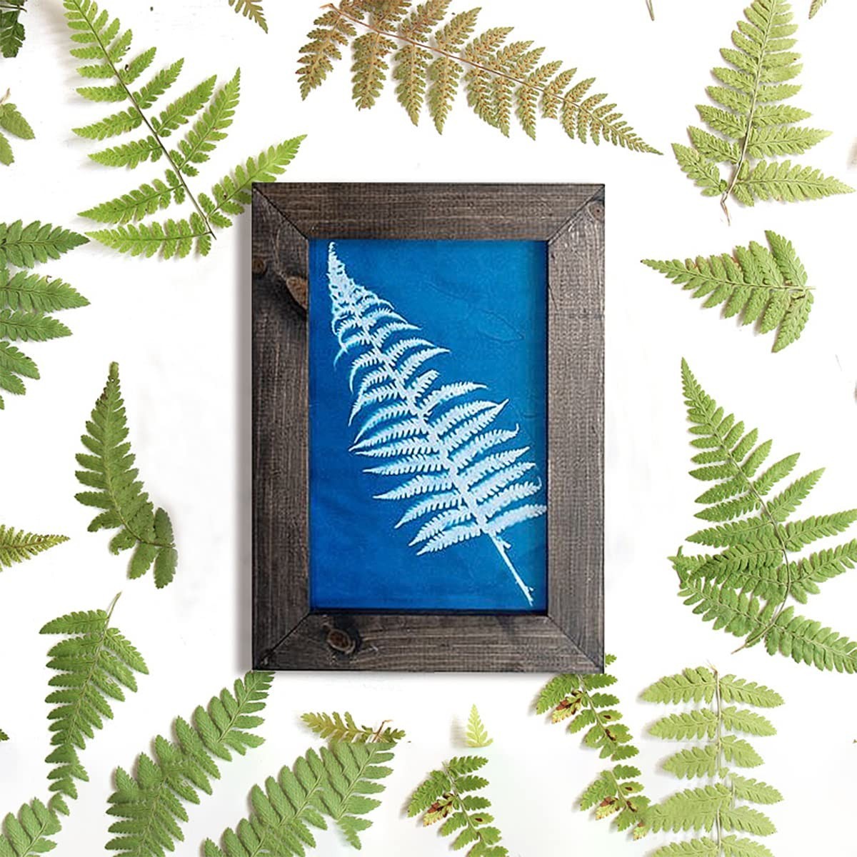 30 Pcs Sun Print Paper Kit – High Sensitivity Cyanotype Paper for DIY Arts & Cra