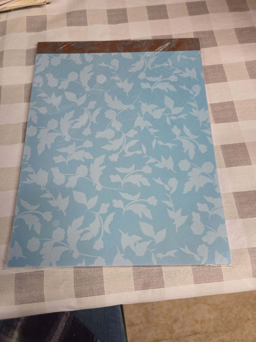 Computer Printer Paper 45 Sheets 8.5″ x 11″ Greenbrier Blue Leaves (PaperB)