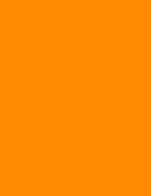 – 8-1/2 x 11″ Neon 8.5″ x 11″ – 1 Per Page | 25 Labels Orange Fluorescent