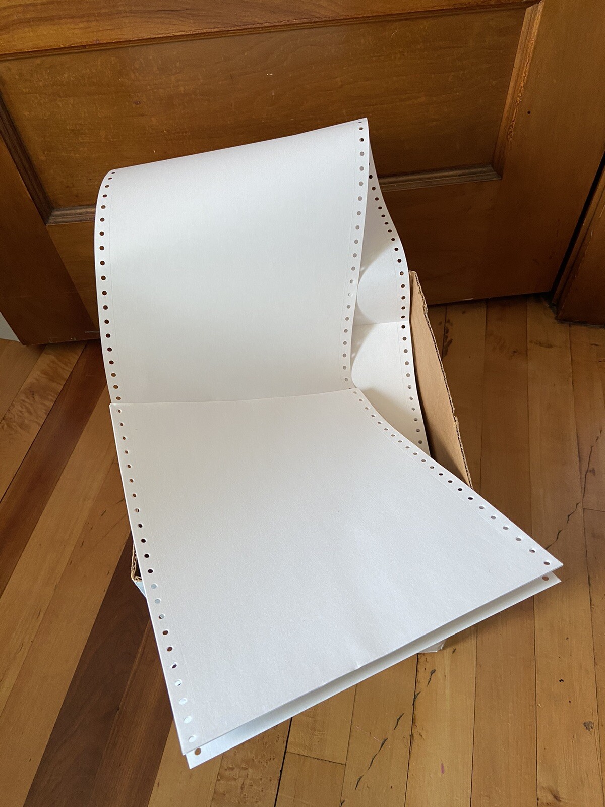 Vintage Shade Computer Paper Dot Matrix Continuous