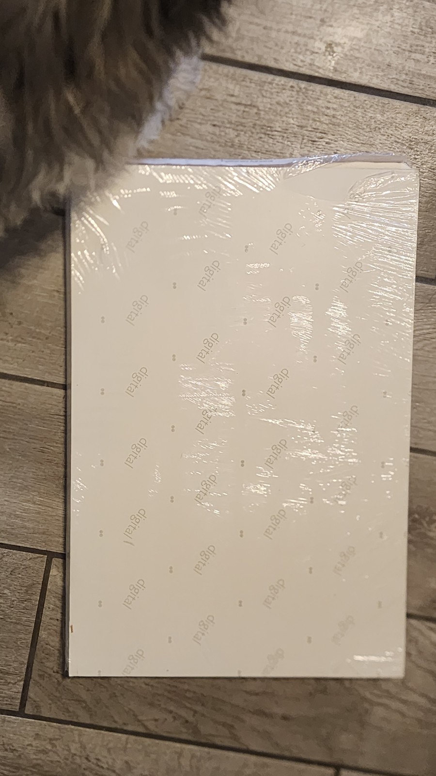 HP Indigo Digital Press Matte Digi Paper 12×18 Kelly Label (100 Sheets) New