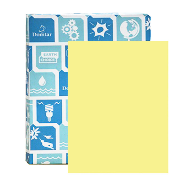 EARTHCHOICE 110# Index 8.5 x 11 Paper 250 Sheets No.81050