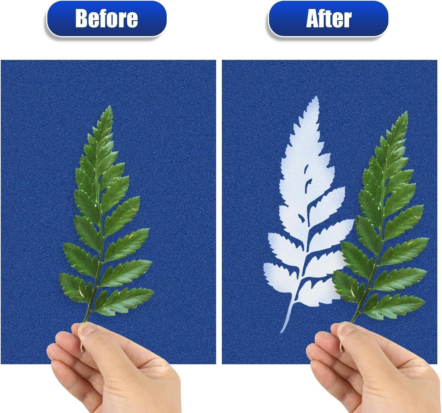 60 PCS Cyanotype Sun Print Kit, A5 Sensitive Solar Art Paper Kit with 20 Pcs Lea