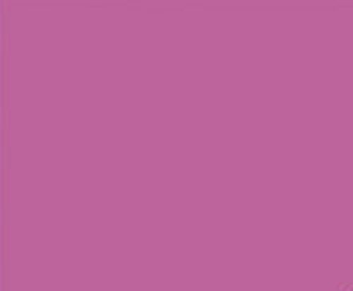 50 BRIGHT PURPLE 24 LB PRINTER PAPER INVITATION SCHOOL PROJECT POSTER FLYER