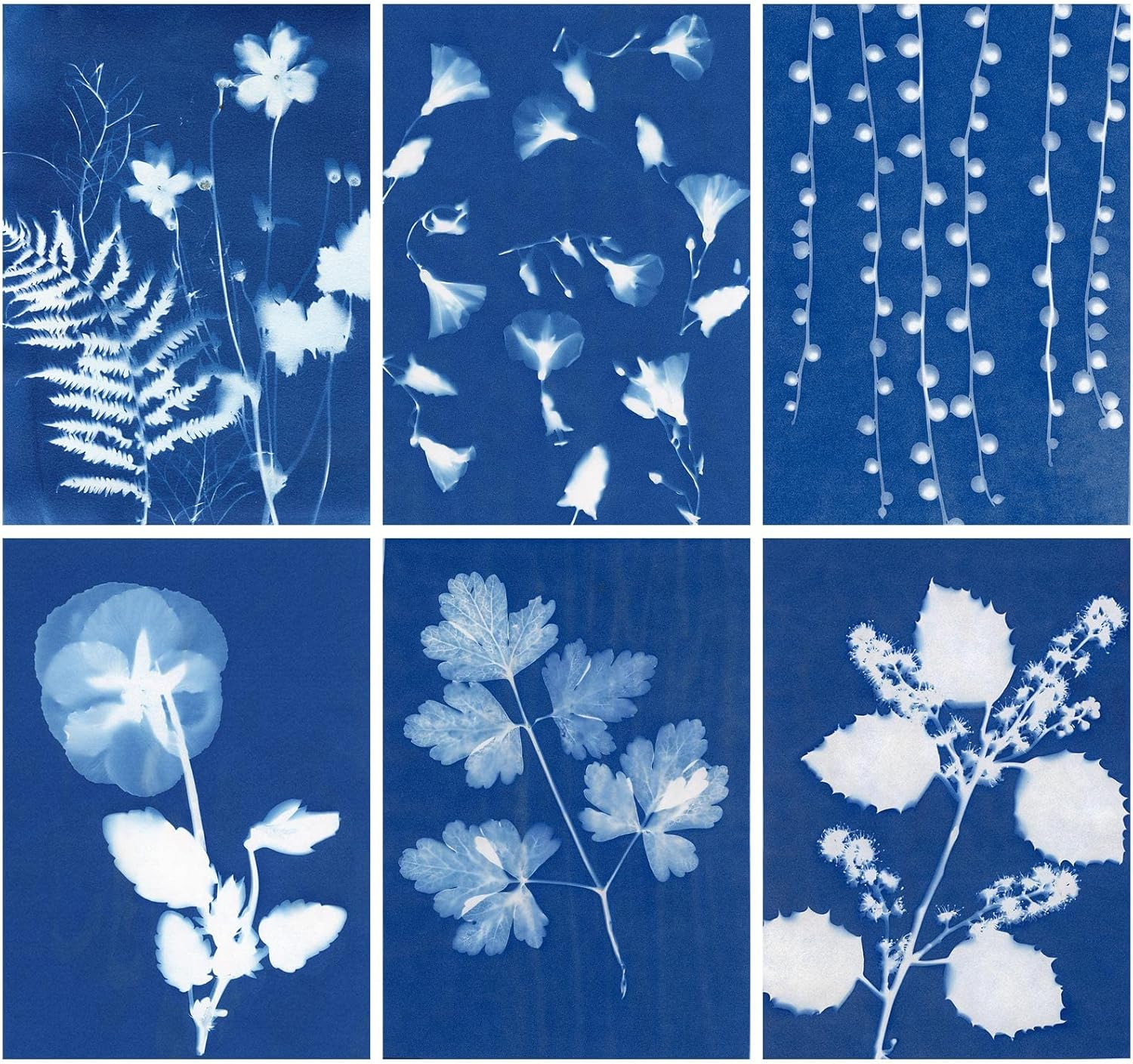 Sun Print Paper Cyanotype Paper Kit, 32 Sheets Sun Art Paper with 1 Plastic Tool