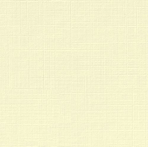 50 SOUTHWORTH 25% COTTON BUSINESS SIZE LINEN PAPER IVORY RESUME
